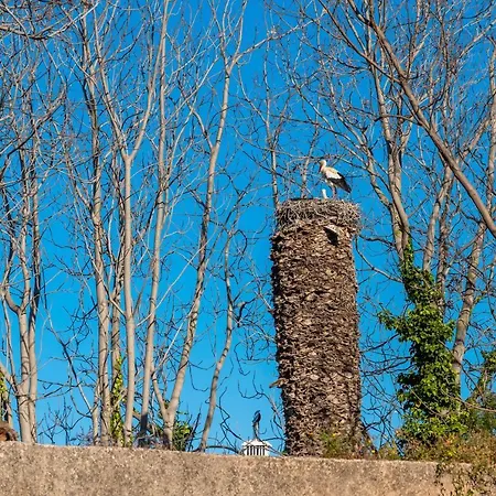 Pensión Happen!ng 2 Distrito de Faro