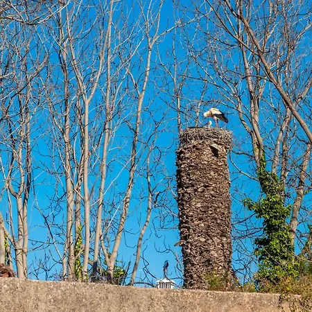 Happen!ng 2 * Distrito de Faro